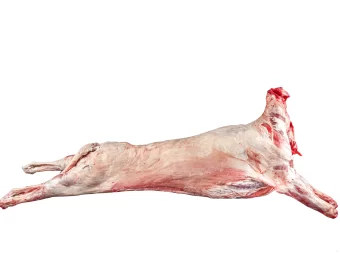 Beverly Creek Whole Lamb