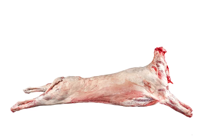 Beverly Creek Whole Lamb