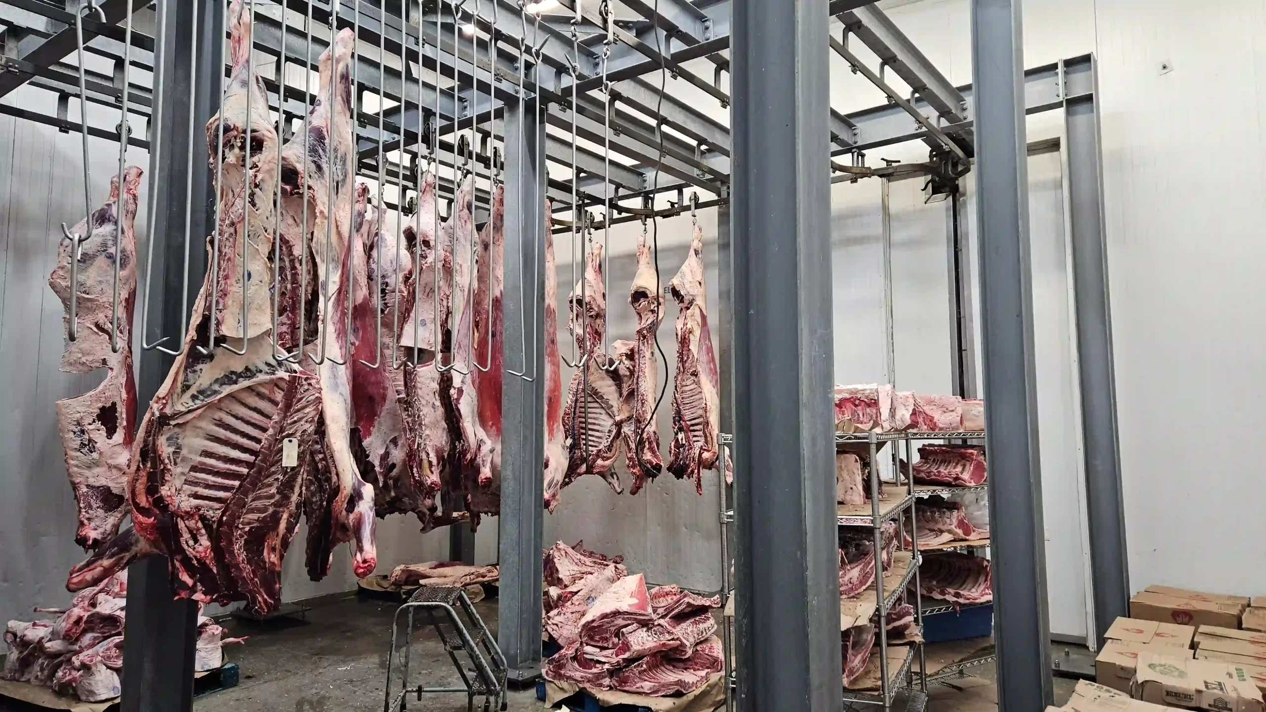 Custom-Cut Ontario Beef: What You Get from a Whole or Half Cow