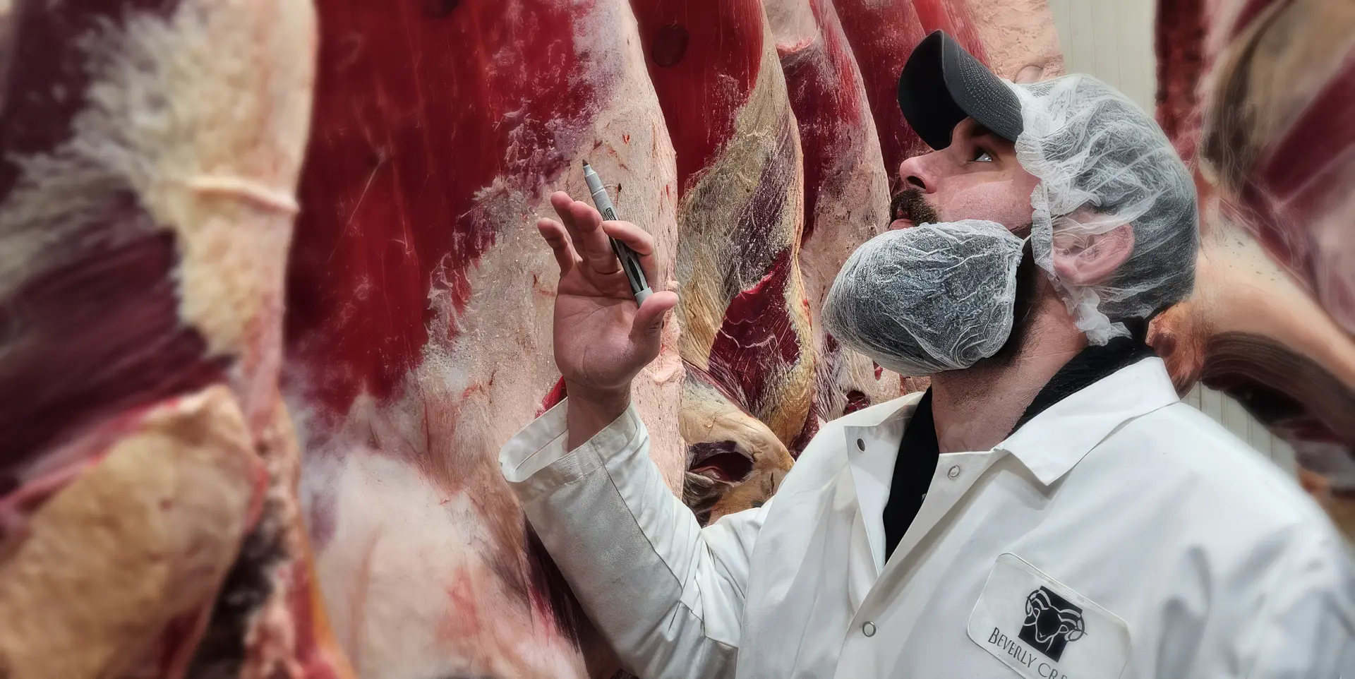 Beverly Creek meat quality check in progress for grading meat for processing